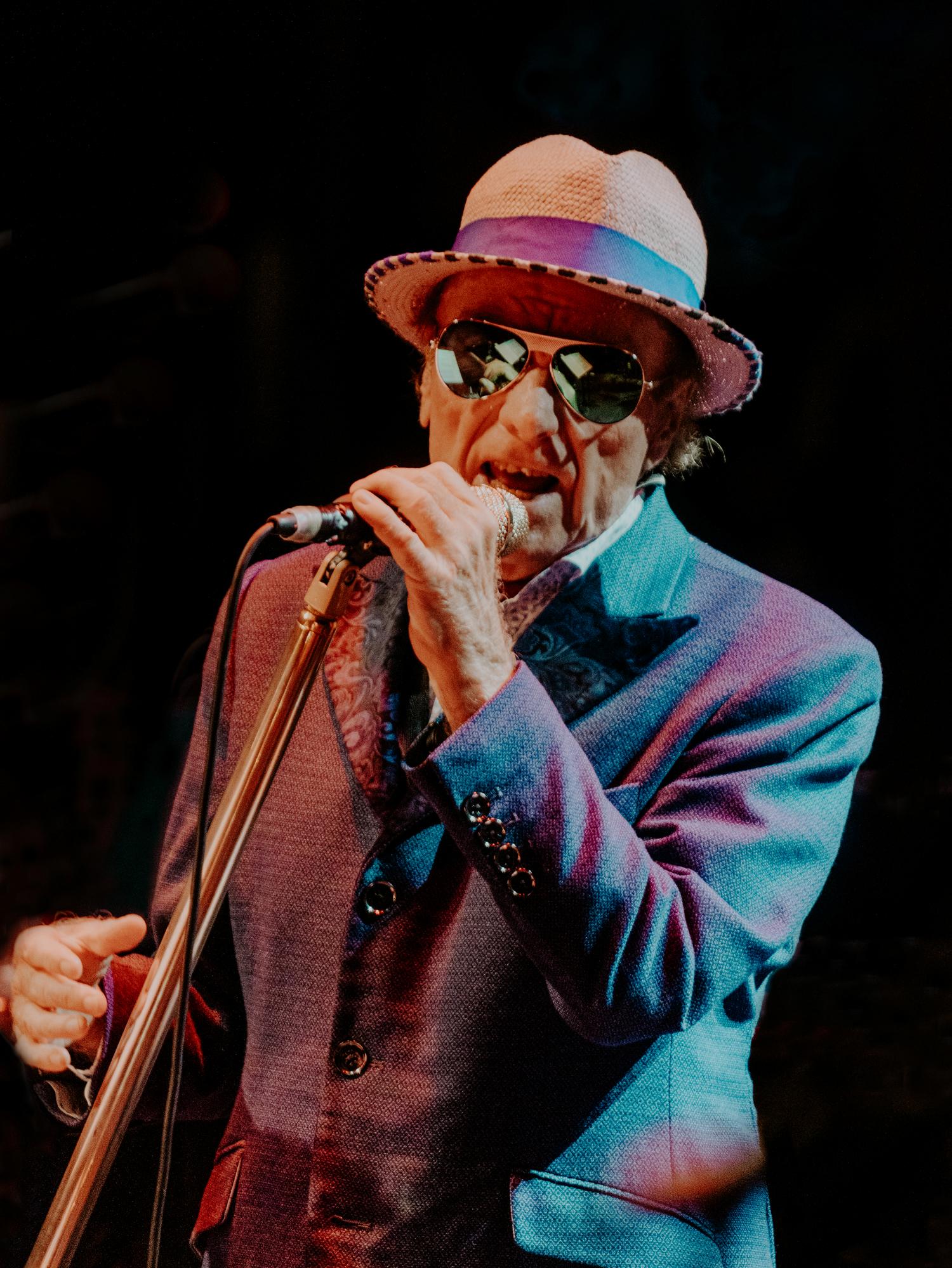 Van Morrison (picture: Brighton Dome)