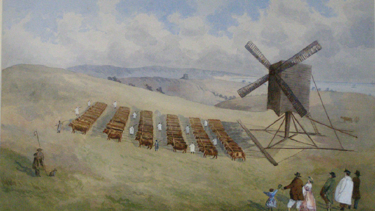 Online Exhibits (picture: Brighton & Hove Museums)