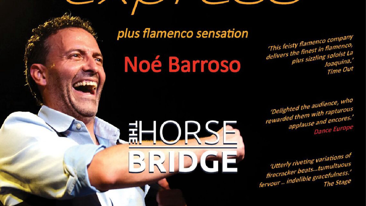 Flamenco Express (picture: The Horsebridge Arts Centre)