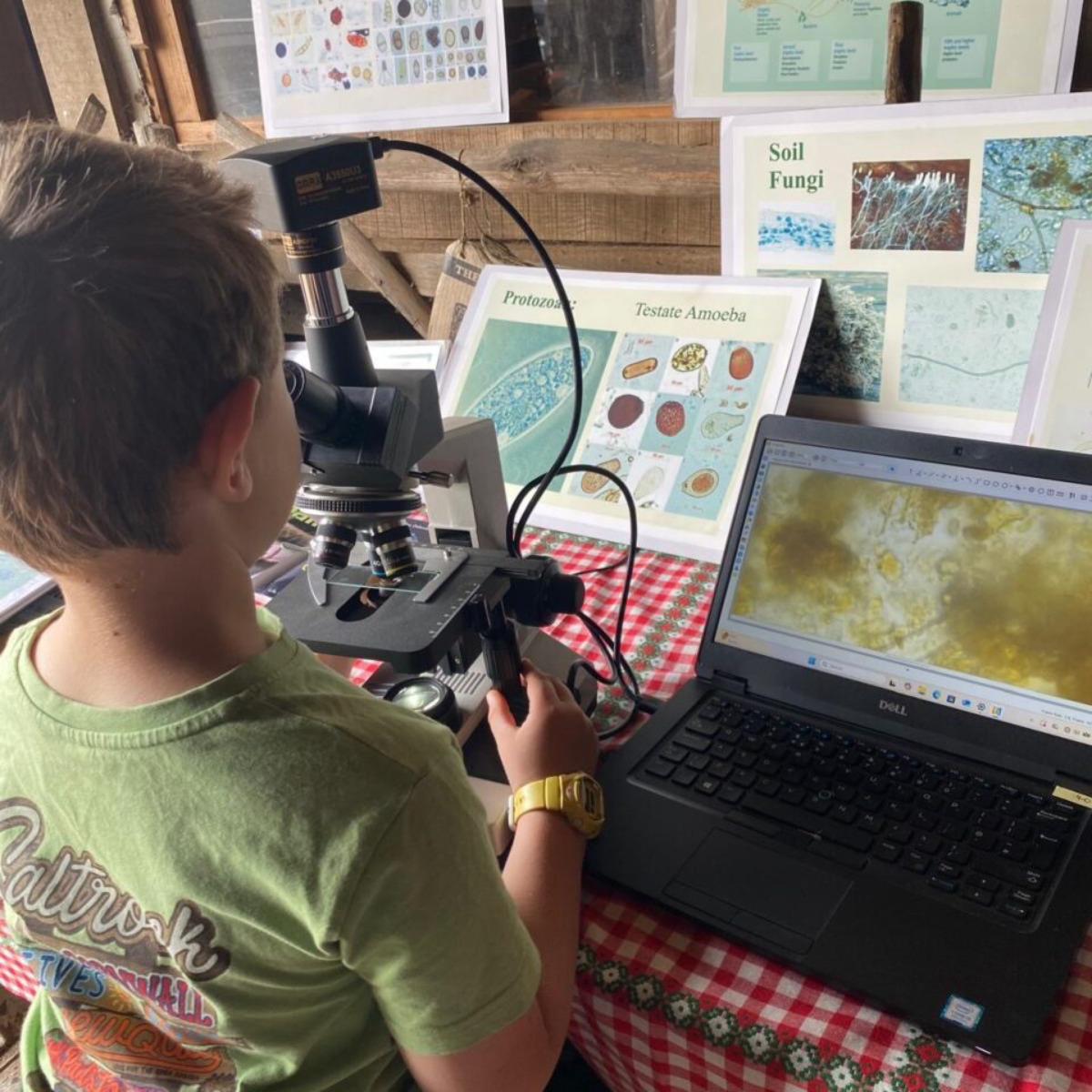 A microscopic adventure (picture: Hastings Contemporary)