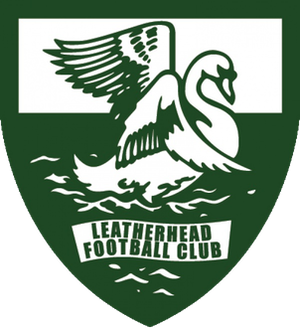 Lewes vs Leatherhead (picture: The Dripping Pan)