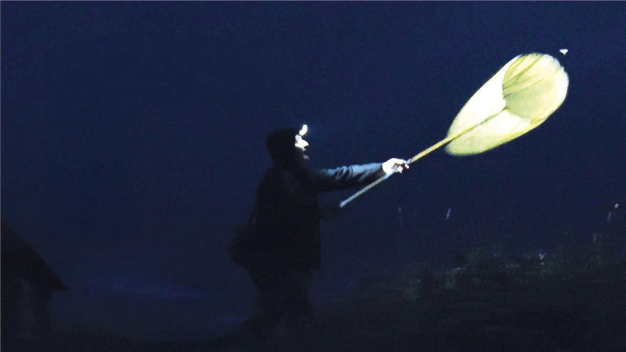 The Illusion of a Quiet Night (Cinecity) (picture: TMDB)