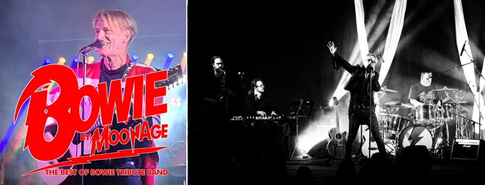 Moonage – David Bowie Tribute (picture: St Mary's Arts Centre - Sandwich)