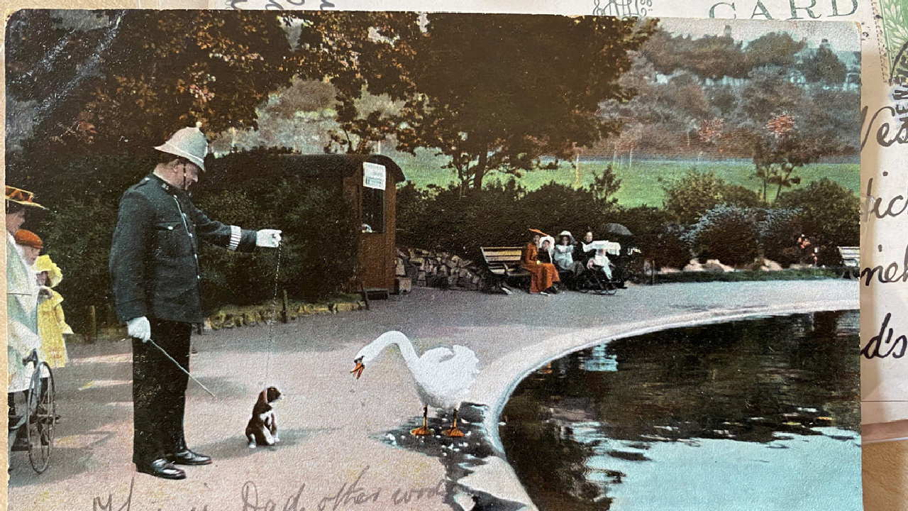 Curator at Work (picture: Brighton & Hove Museums)
