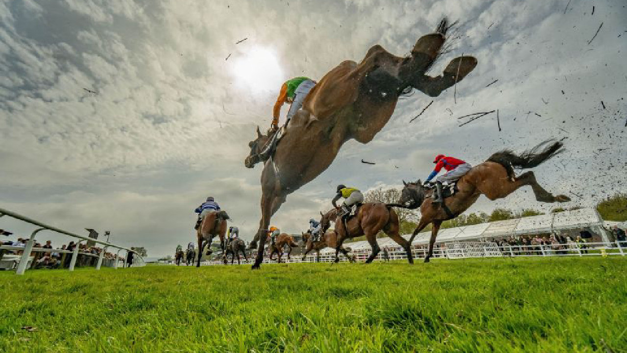 Sussex National (picture: Plumpton Racecourse Ltd)