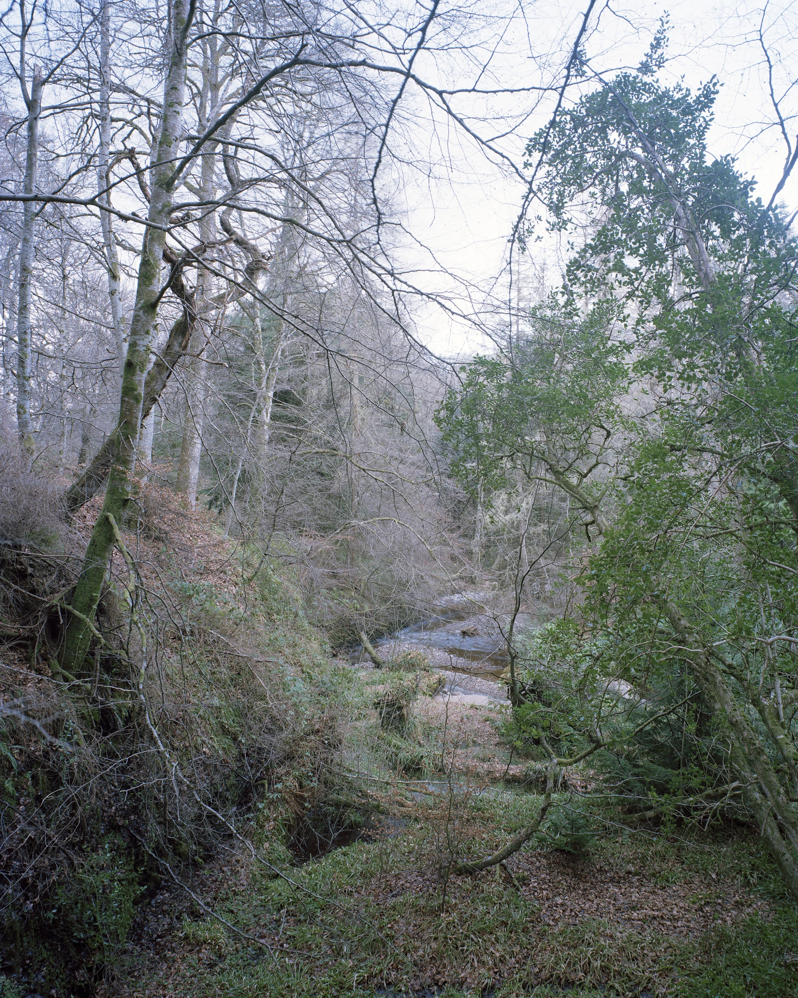 Panel talk: Reimagining Landscape Photography (picture: Towner Eastbourne)