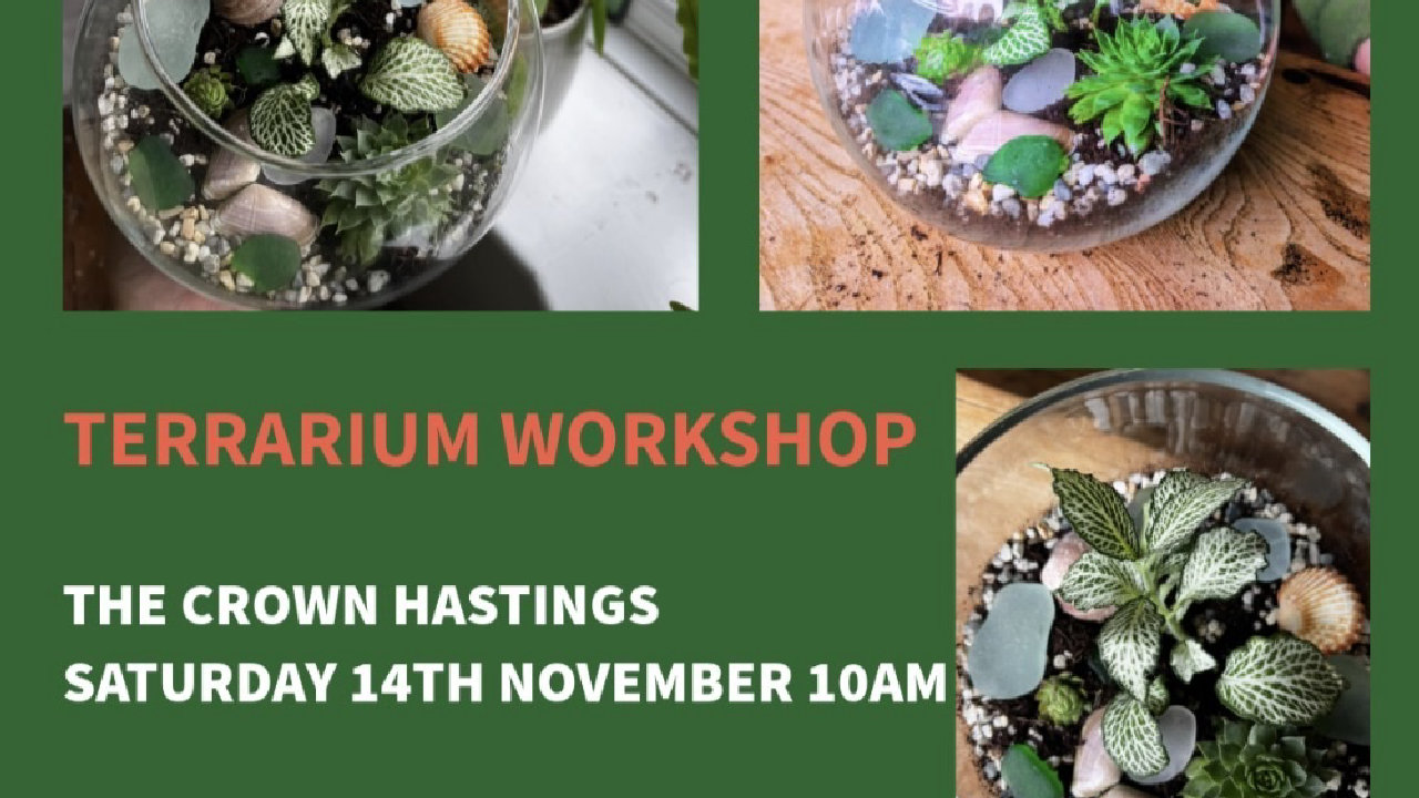 Terrarium Workshop (picture: The Crown)