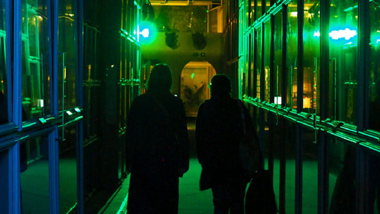 Spirit Chasers - Booth Museum (picture: Brighton & Hove Museums)