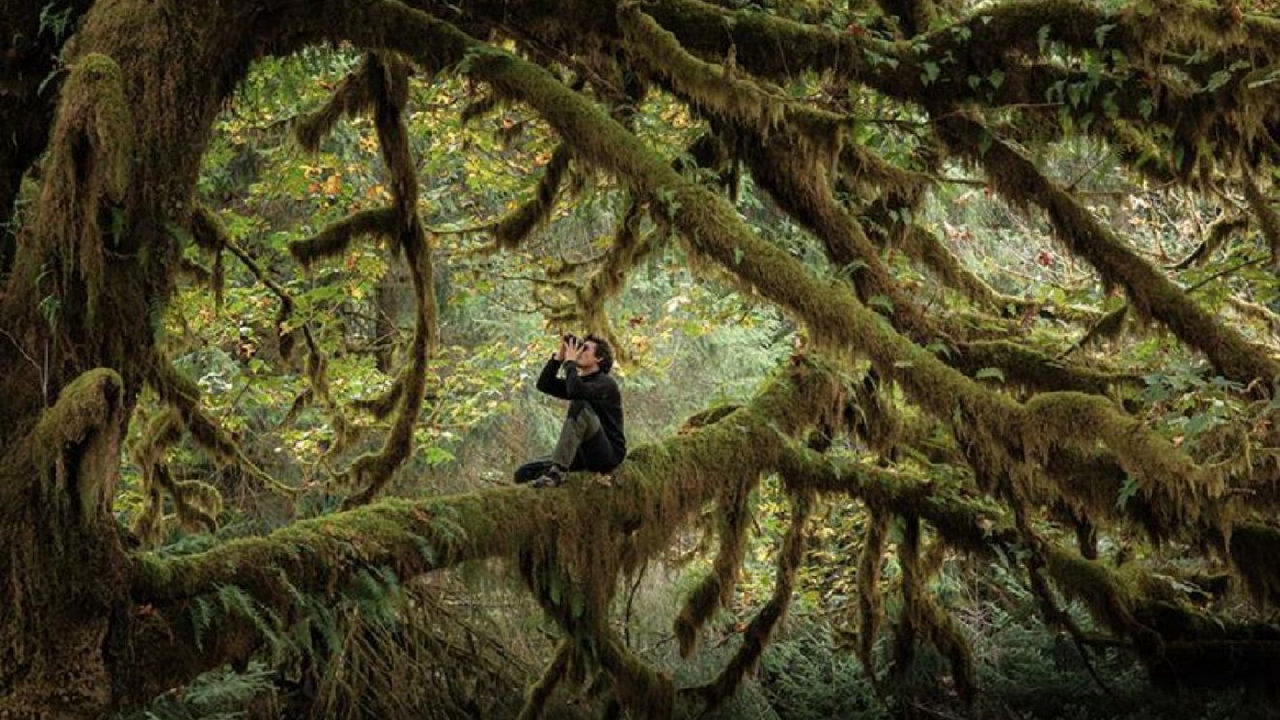 Whispers in the Woods + Intro (picture: Electric Palace Cinema)