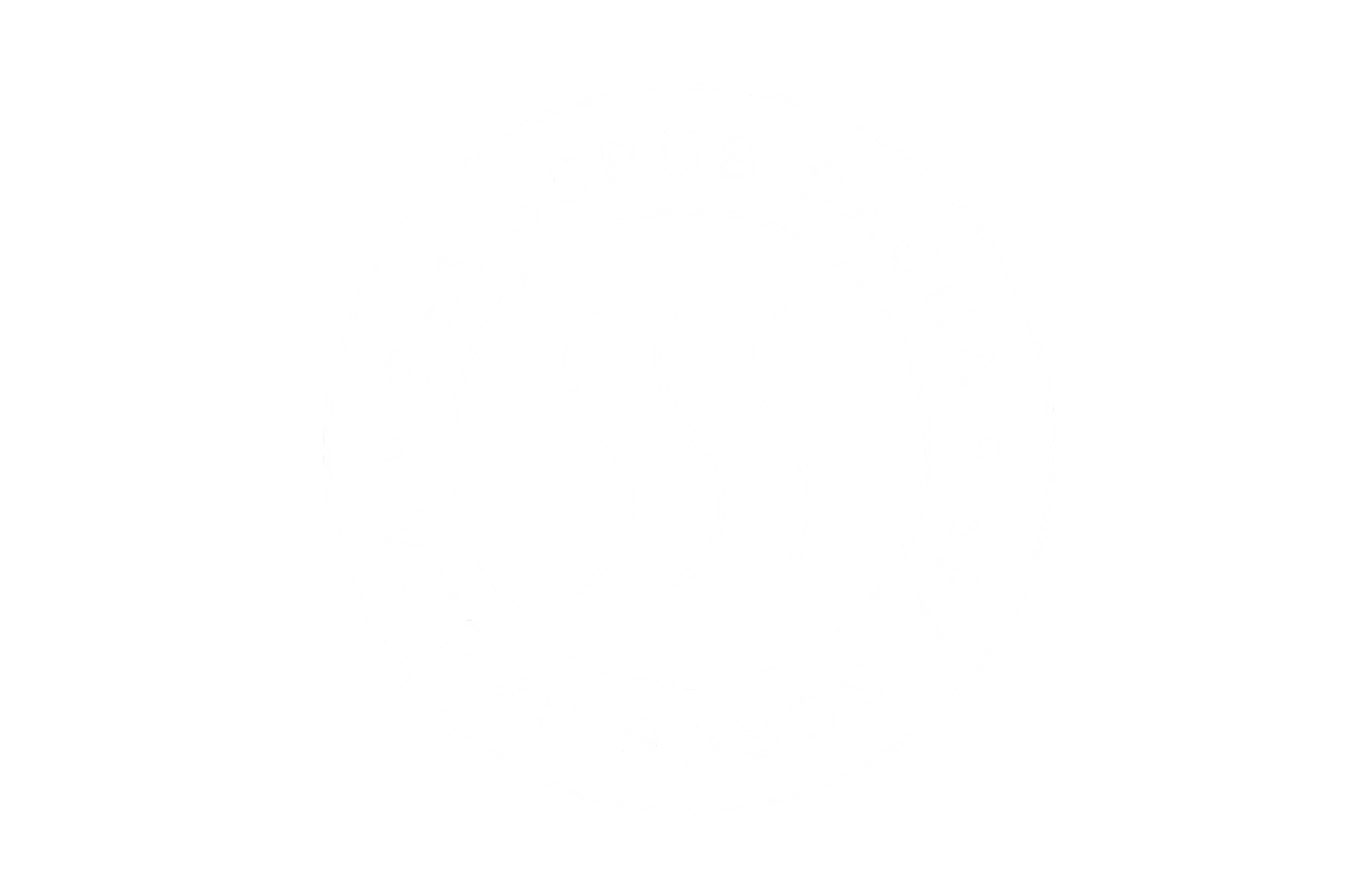 Sea Scrub Sauna Folkestone (picture: Folkestone Harbour Arm)
