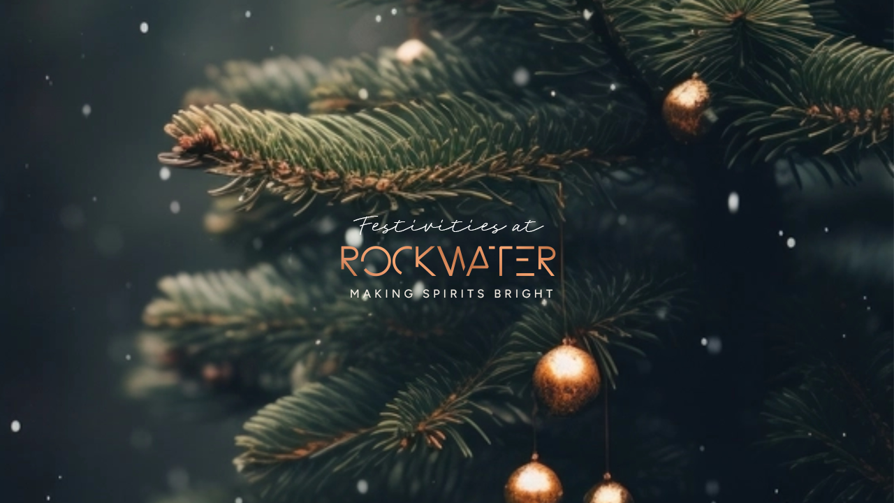 Christmas (picture: Rockwater Hove)