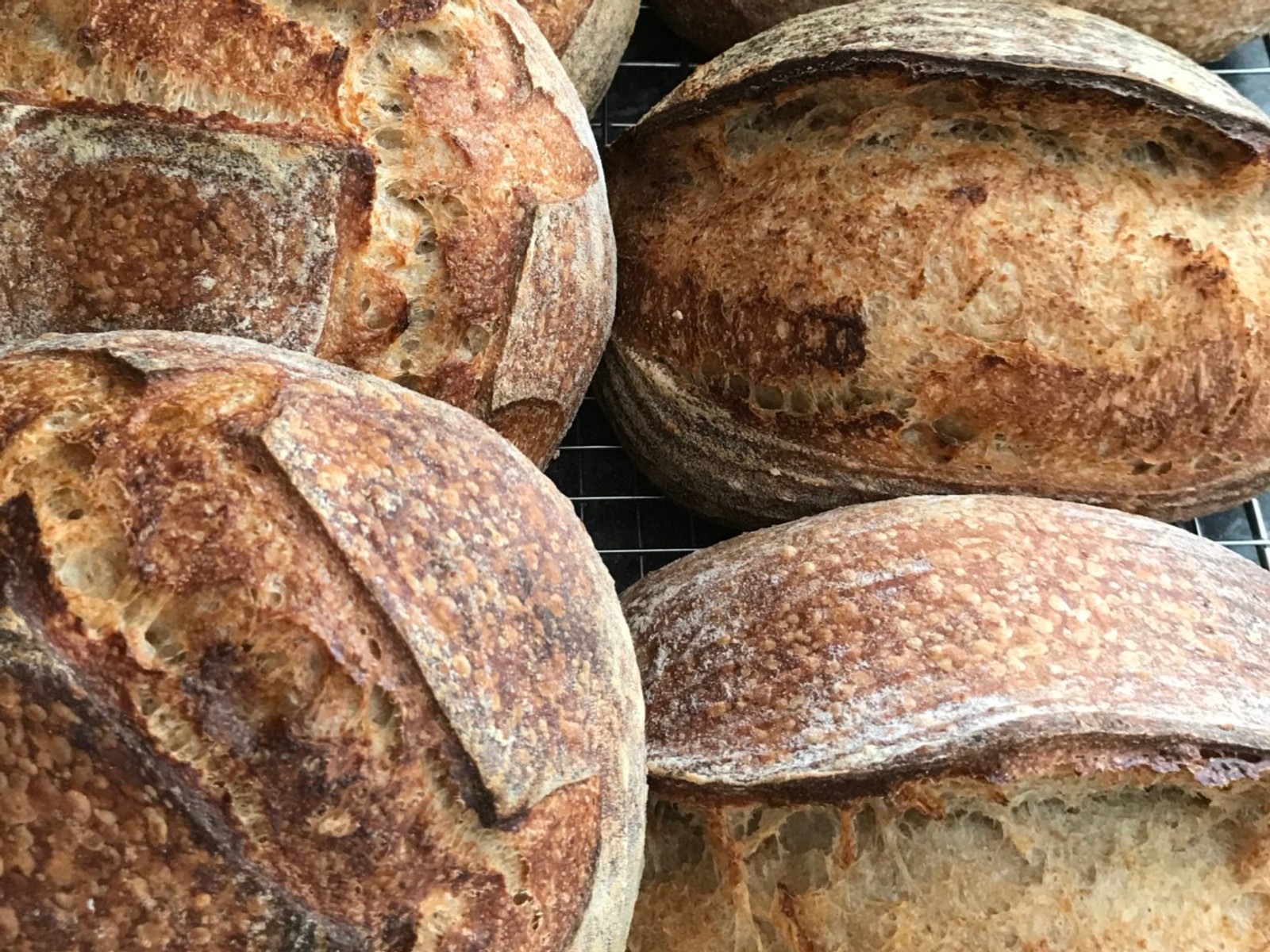 Freshly baked sourdough loaves from a Nutrilicious workshop