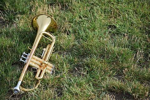 A brass trumpet lying on grass